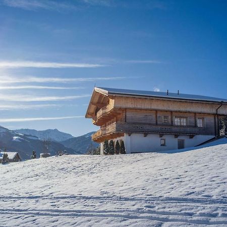 Chalet Apartment Obermanzl Hopfgarten im Brixental Eksteriør billede