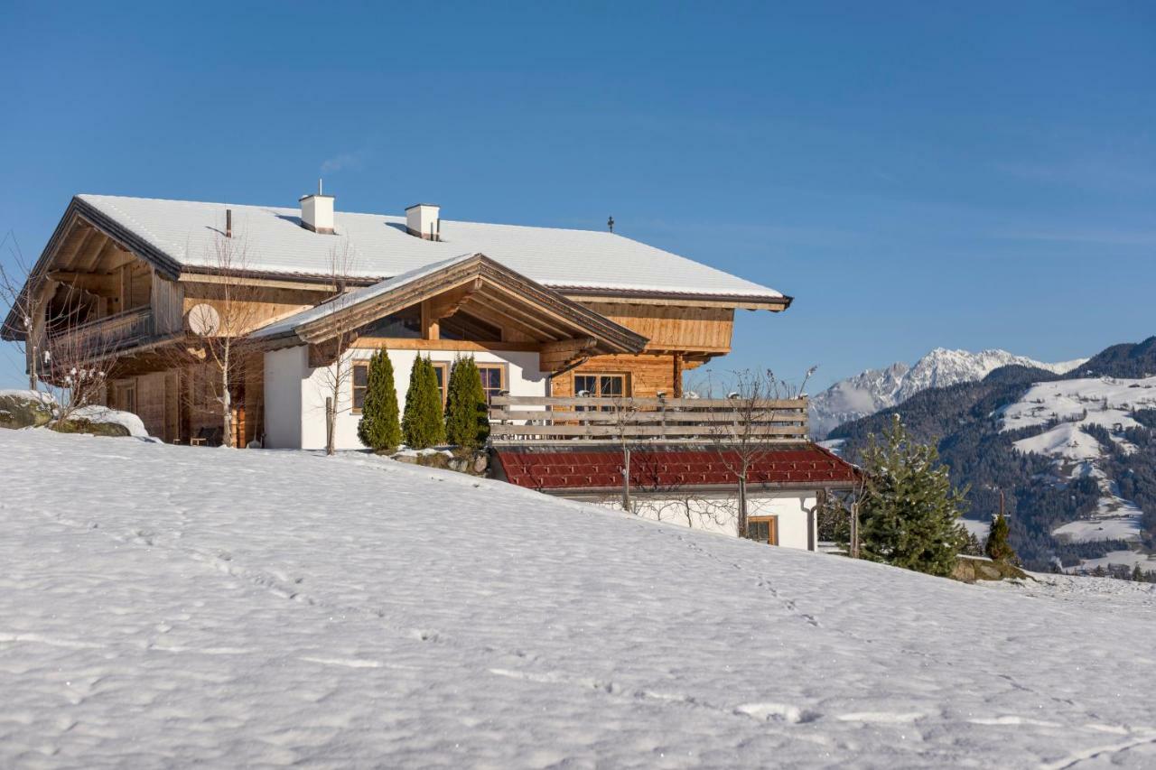 Chalet Apartment Obermanzl Hopfgarten im Brixental Eksteriør billede