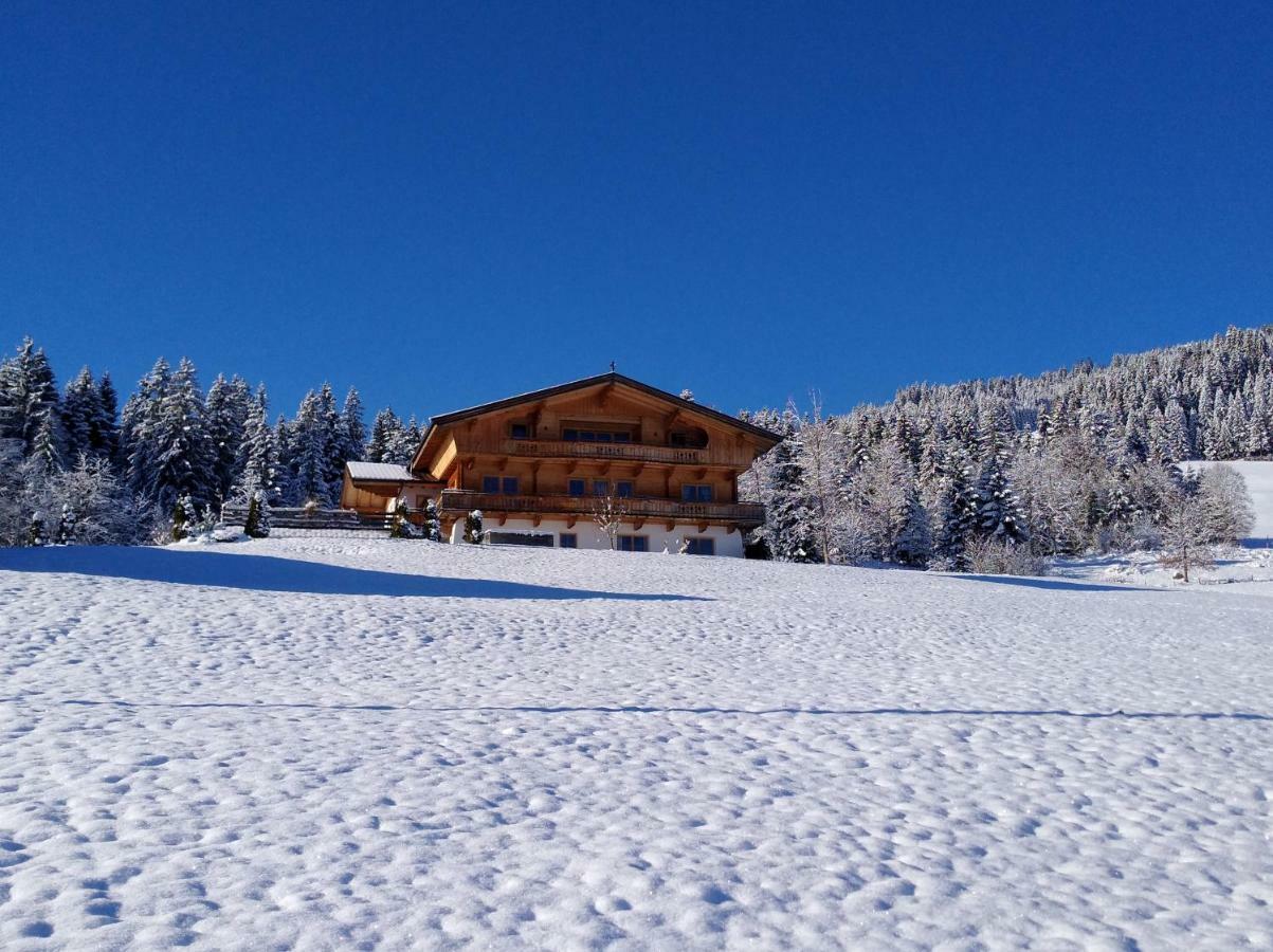 Chalet Apartment Obermanzl Hopfgarten im Brixental Eksteriør billede